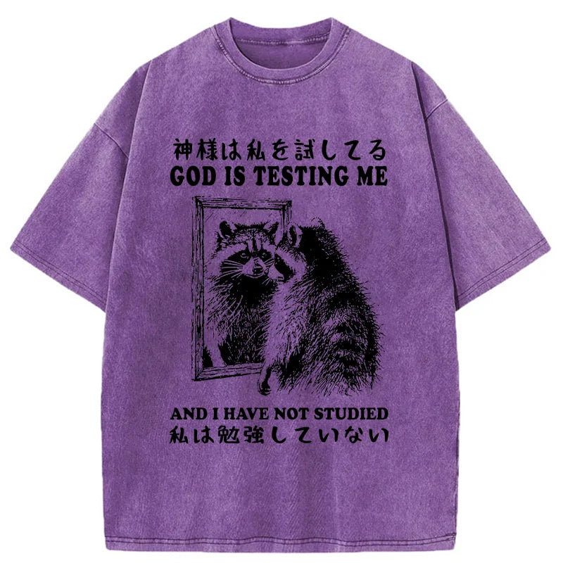 Raccoon Not Studied Washed T-Shirt