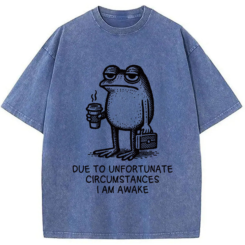 Decadent Frog Washed T-Shirt