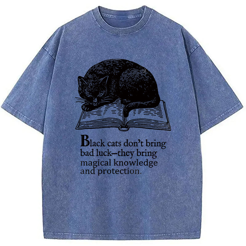 Black Cat Sleeping On A Book Washed T-Shirt