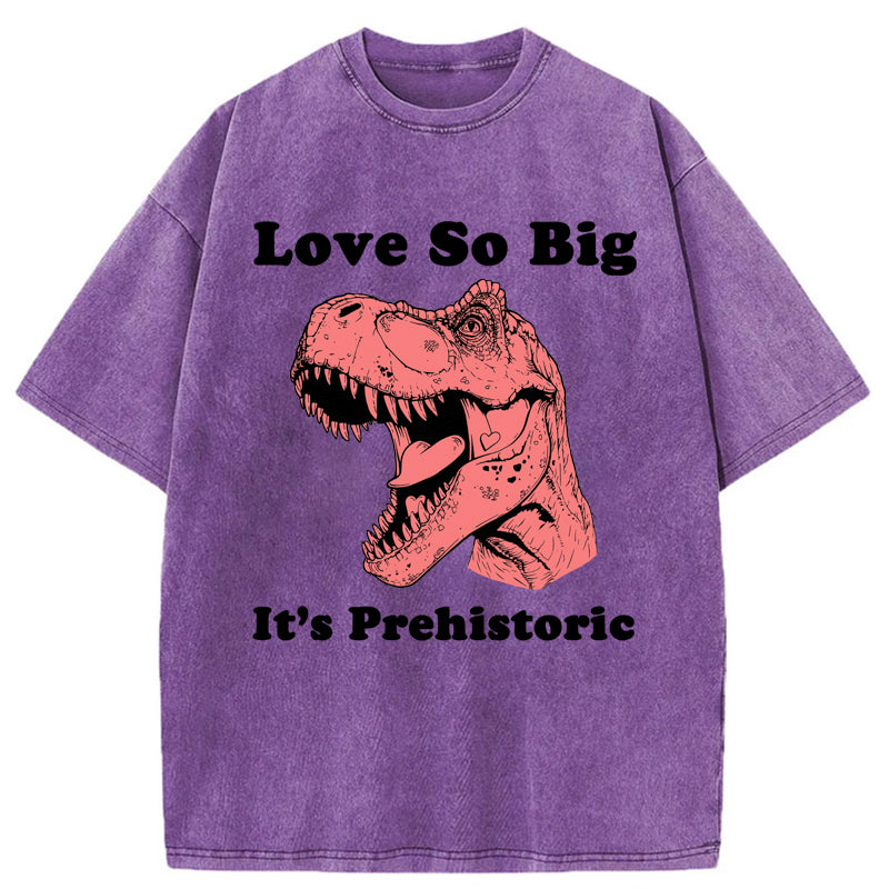 Unisex Prehistoric Love Washed T-Shirt