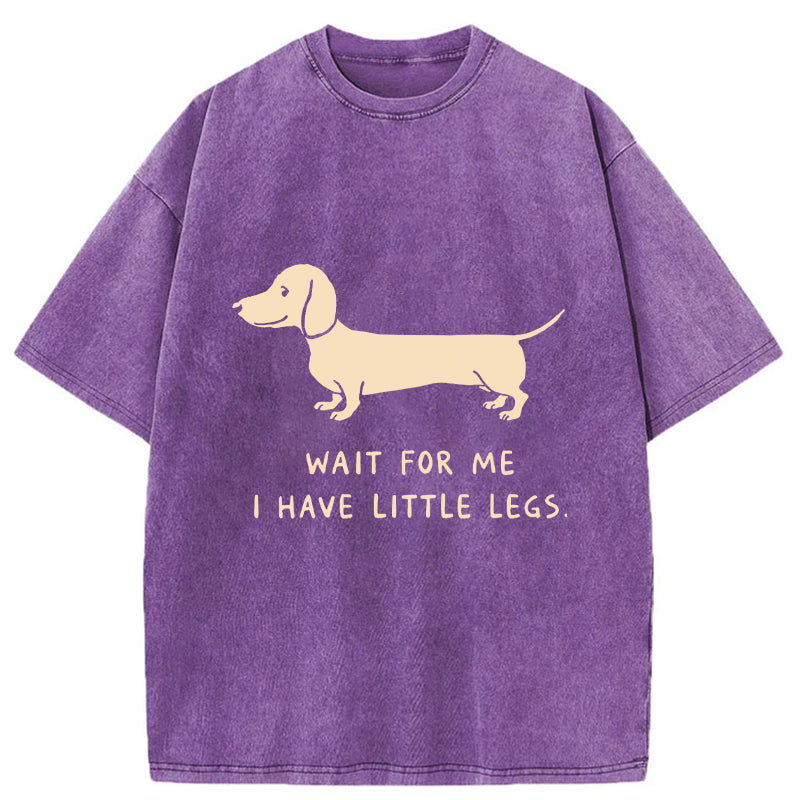 Unisex Wait For The Dachshund Washed T-Shirt