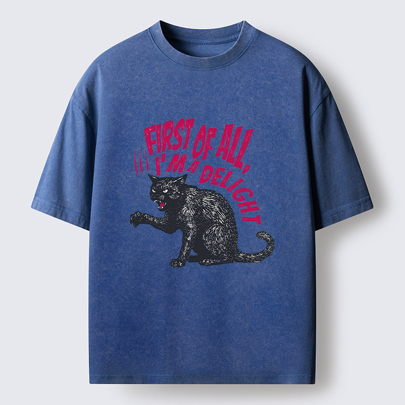 Unisex Fierce Black Cat Washed T-Shirt