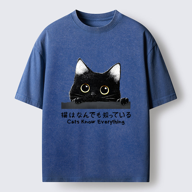 Cats Know Everything Washed T-Shirt