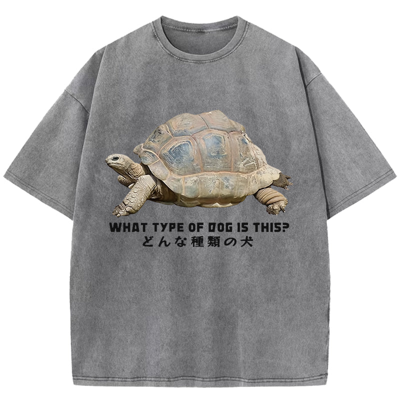 Slow Crawling Dog Washed T-Shirt