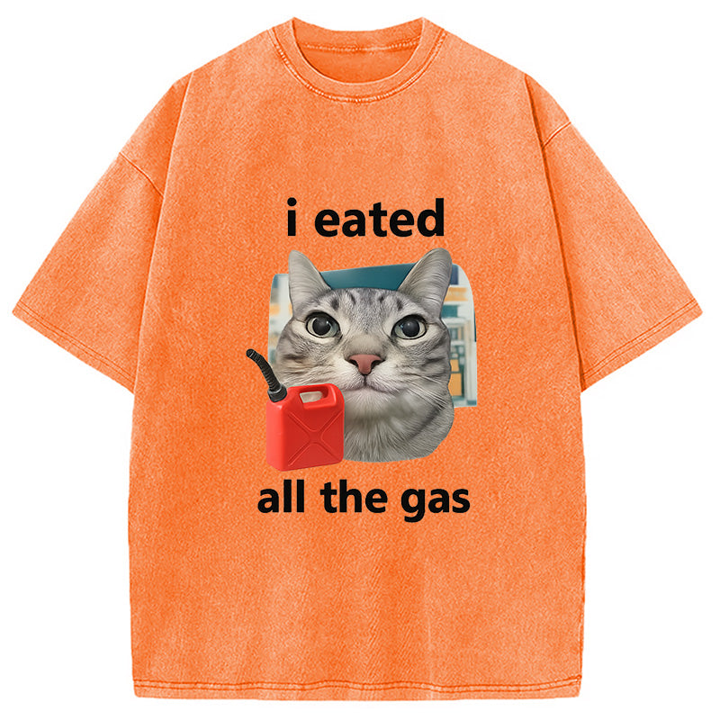 I Eated All The Gas Cat Funny Washed T-Shirt