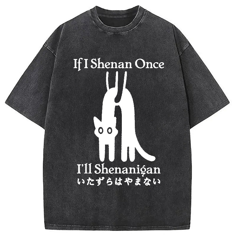 If I Shenan Once I'll Shenanigan Washed T-Shirt
