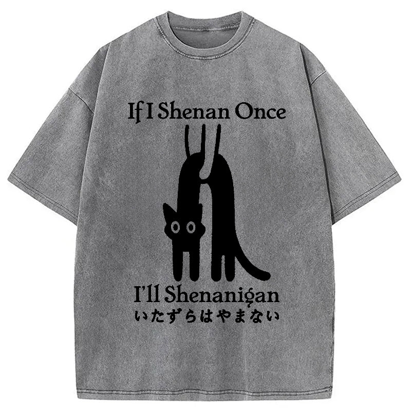 If I Shenan Once I'll Shenanigan Washed T-Shirt