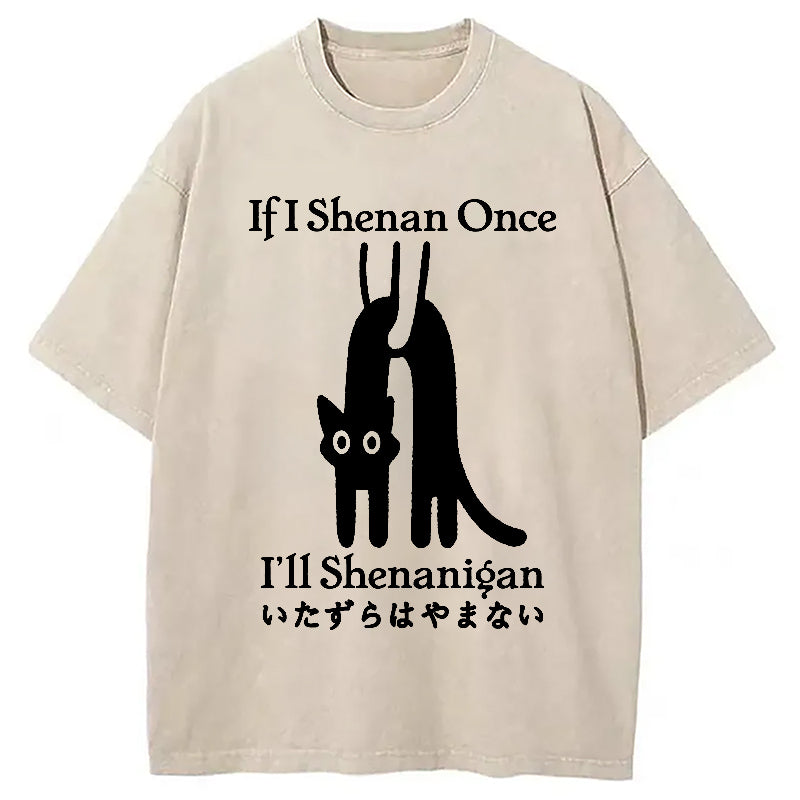 If I Shenan Once I'll Shenanigan Washed T-Shirt