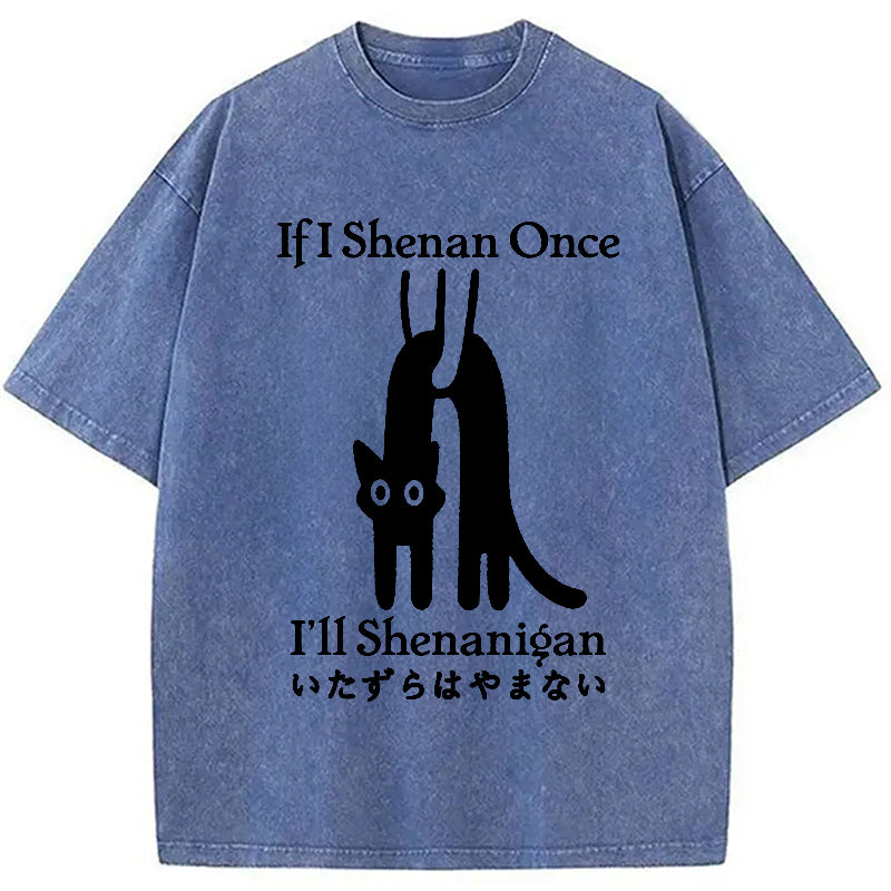 If I Shenan Once I'll Shenanigan Washed T-Shirt