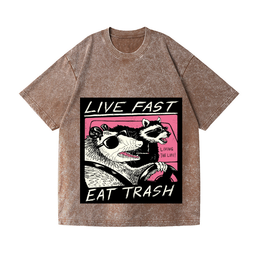 Raccoon Vintage Wash Japanese Design T-Shirt