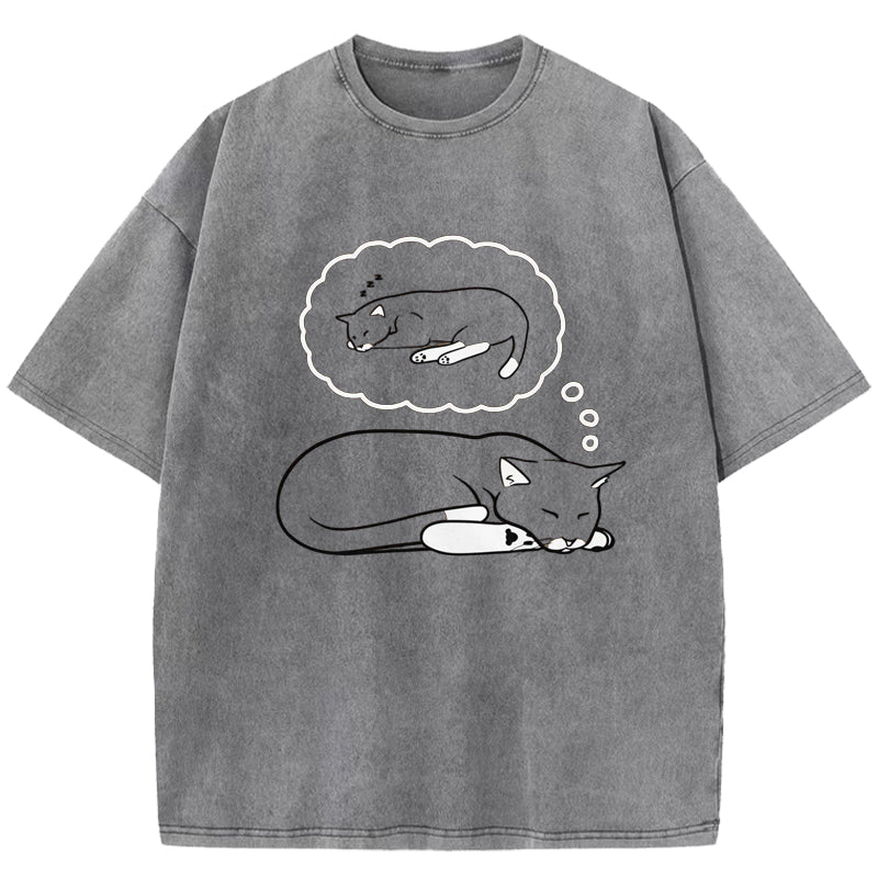 Living The Dream Washed T-Shirt