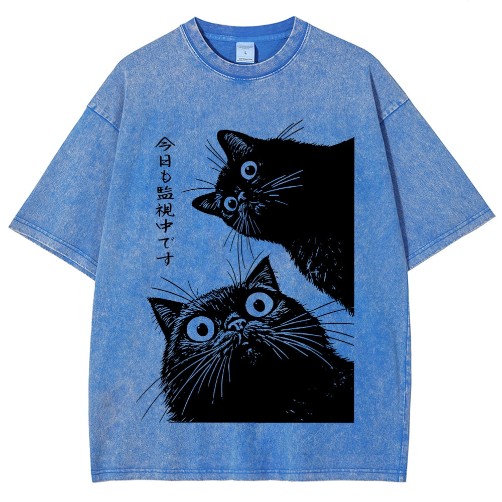 The Cat is Watching Today Washed T-Shirt