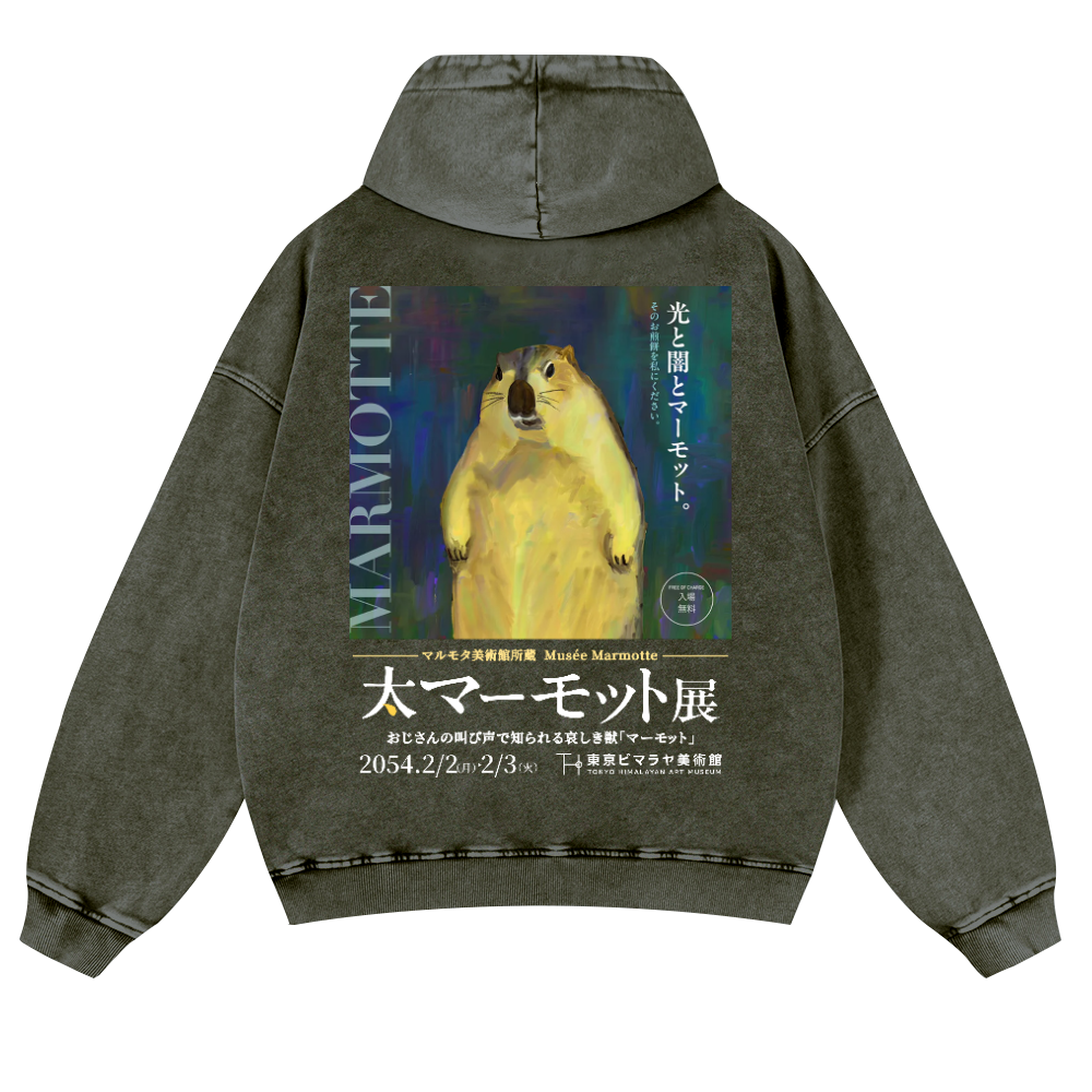 Marmot Vintage Washed Cotton Back Art Hoodie