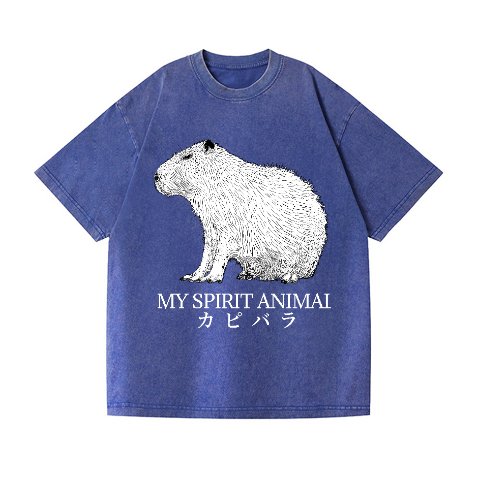 Capybara Vintage Wash Japanese Design T-Shirt