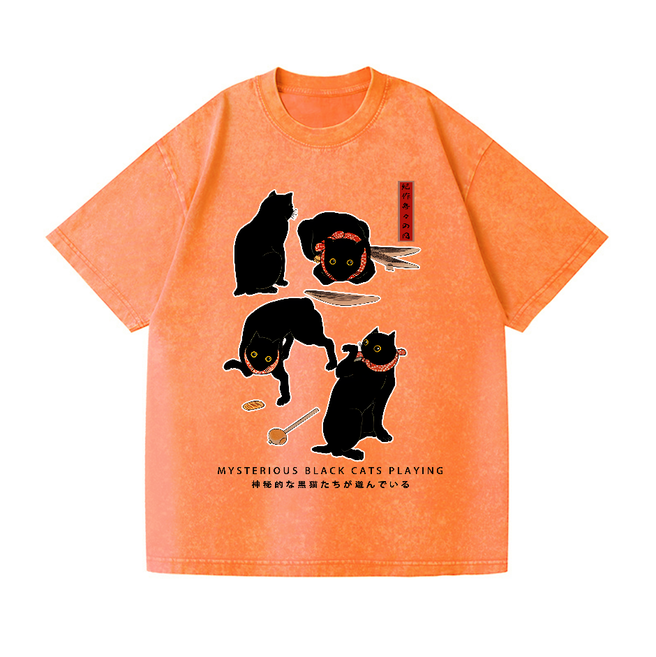 Black Cat Vintage Wash Japanese Design T-Shirt