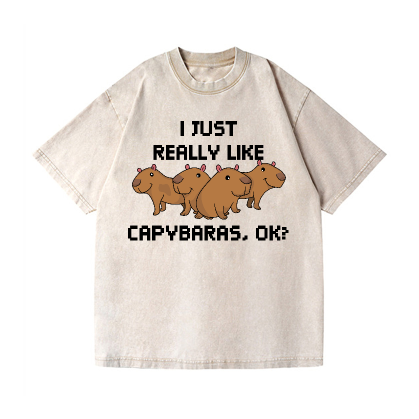 Capybara Vintage Wash Japanese Design T-Shirt