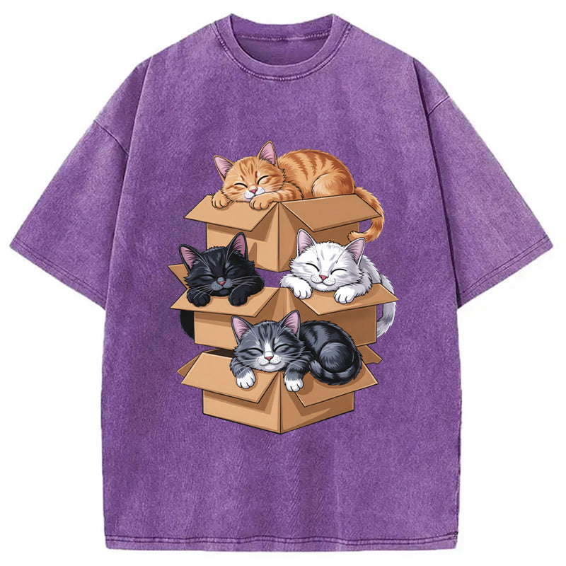 Kawaii Cardboard Cat Washed T-Shirt
