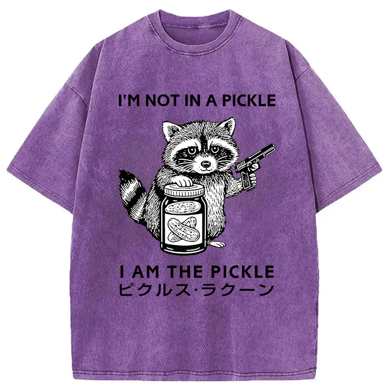 Funny Raccoon Japan Washed T-Shirt