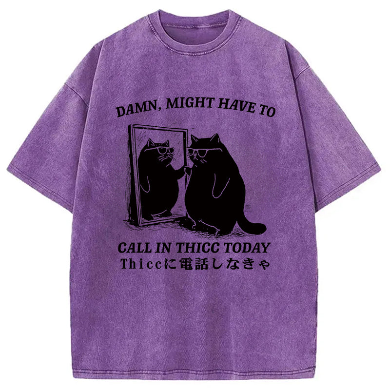 Cat Admiring Himself Washed T-Shirt