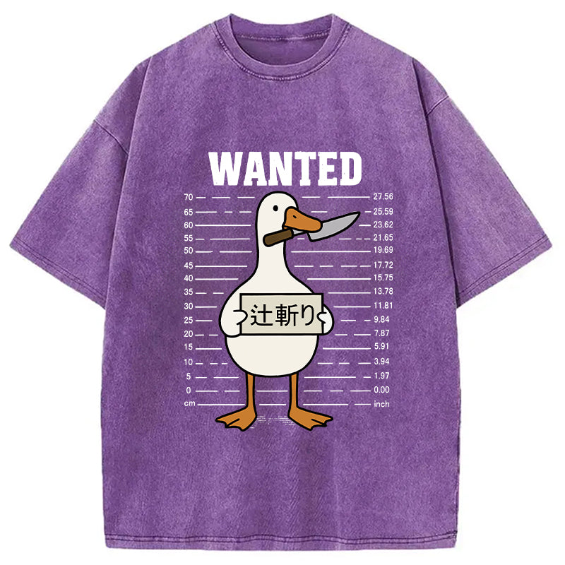 Wanted Silly Goose Washed T-Shirt