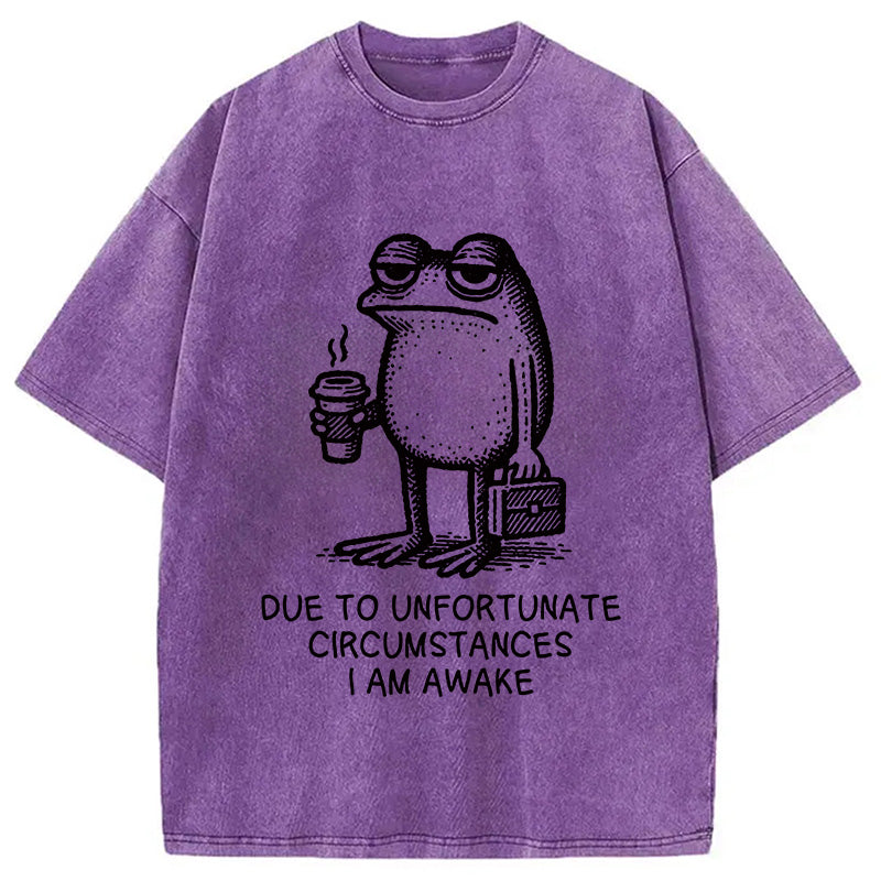 Decadent Frog Washed T-Shirt