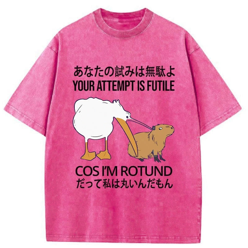 Your Attempts Are In Vain Washed T-Shirt