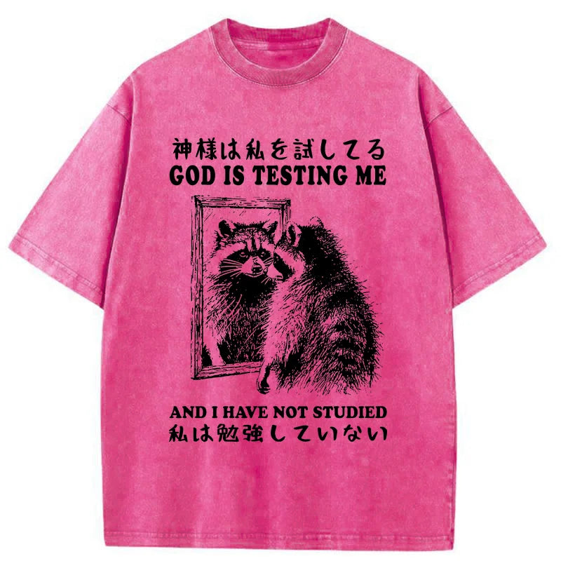 Raccoon Not Studied Washed T-Shirt