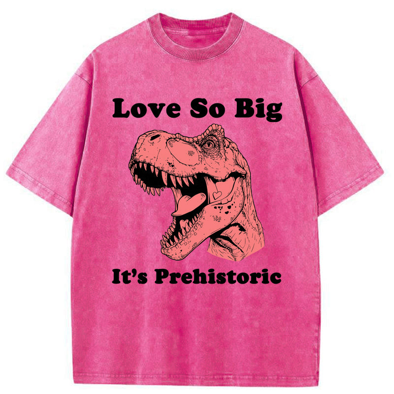 Unisex Prehistoric Love Washed T-Shirt