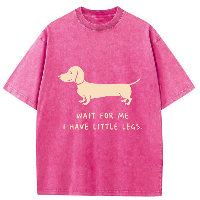 Unisex Wait For The Dachshund Washed T-Shirt
