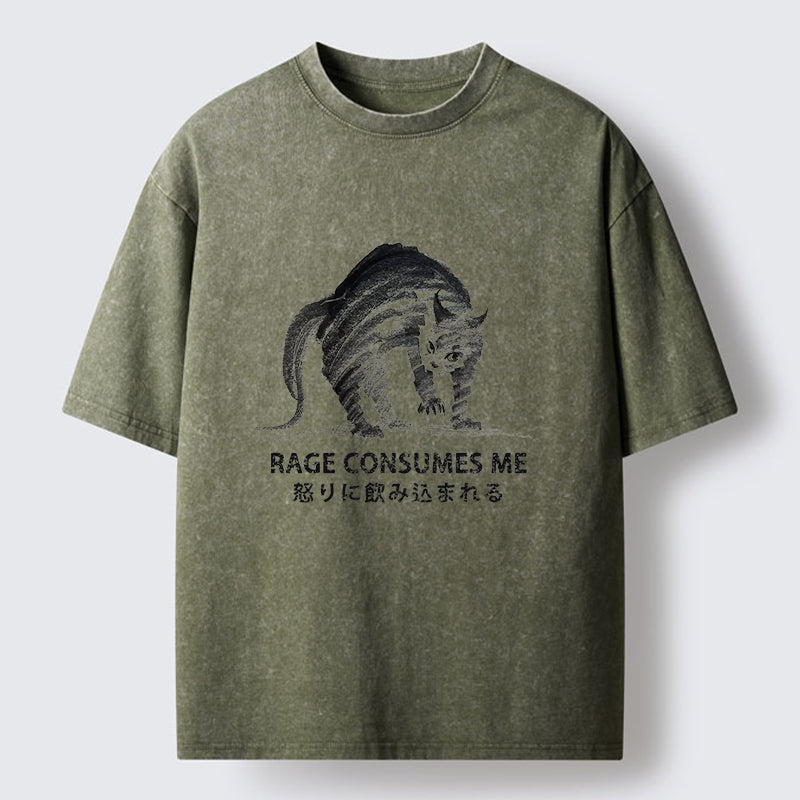 Unisex Rage Consumes Cat Washed T-Shirt