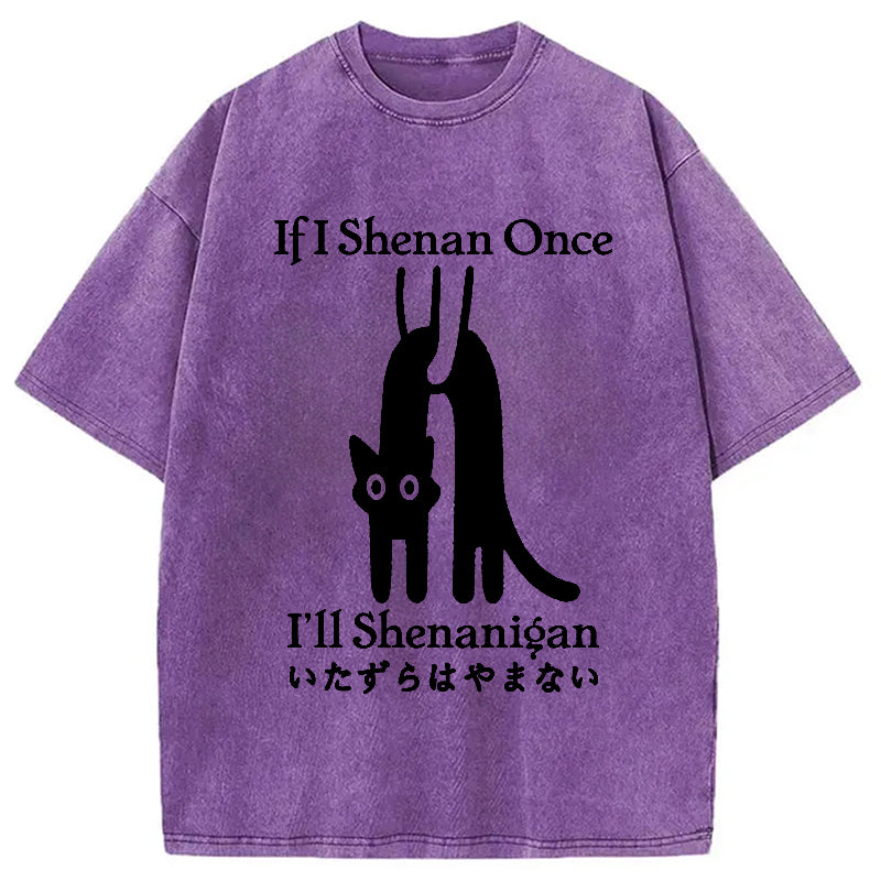 If I Shenan Once I'll Shenanigan Washed T-Shirt