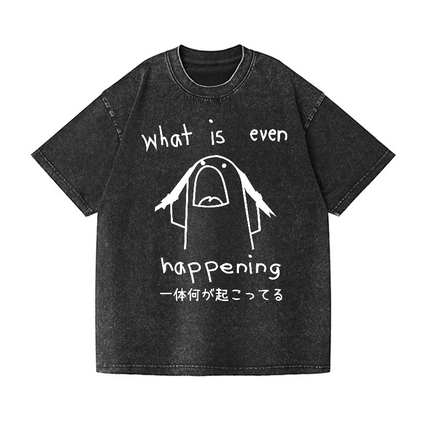 What Is Happening Vintage Wash Japanese Design T-Shirt