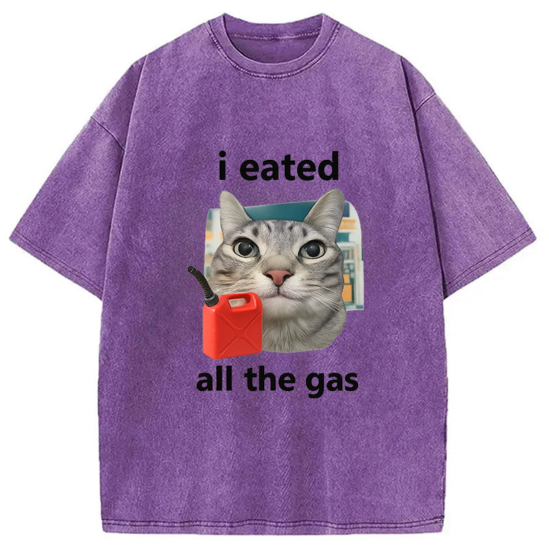 I Eated All The Gas Cat Funny Washed T-Shirt