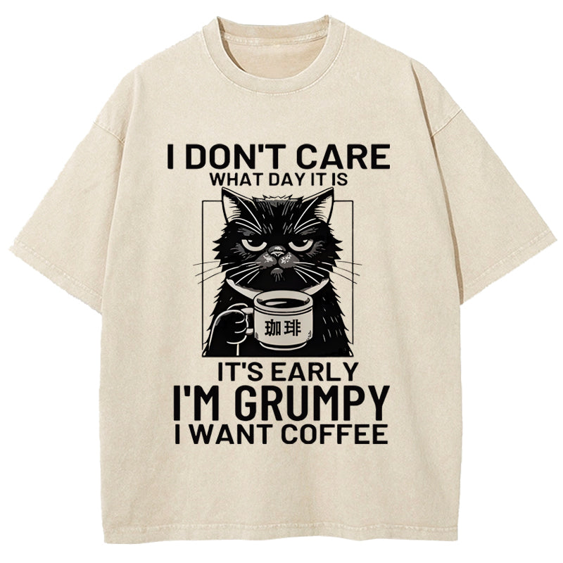 Funny Grumpy Cat Washed T-Shirt