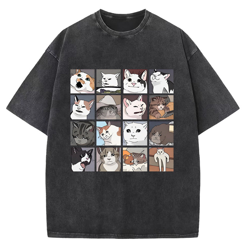Cat Meme Washed T-Shirt