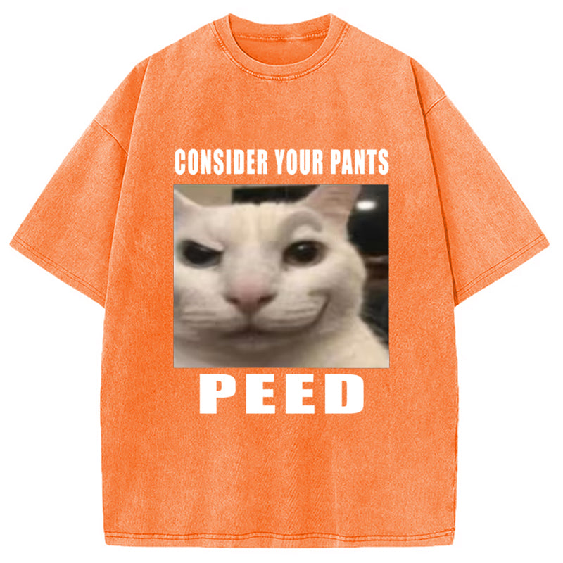 Consider Your Pants Peed Meme Washed T-Shirt