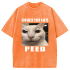 Consider Your Pants Peed Meme Washed T-Shirt