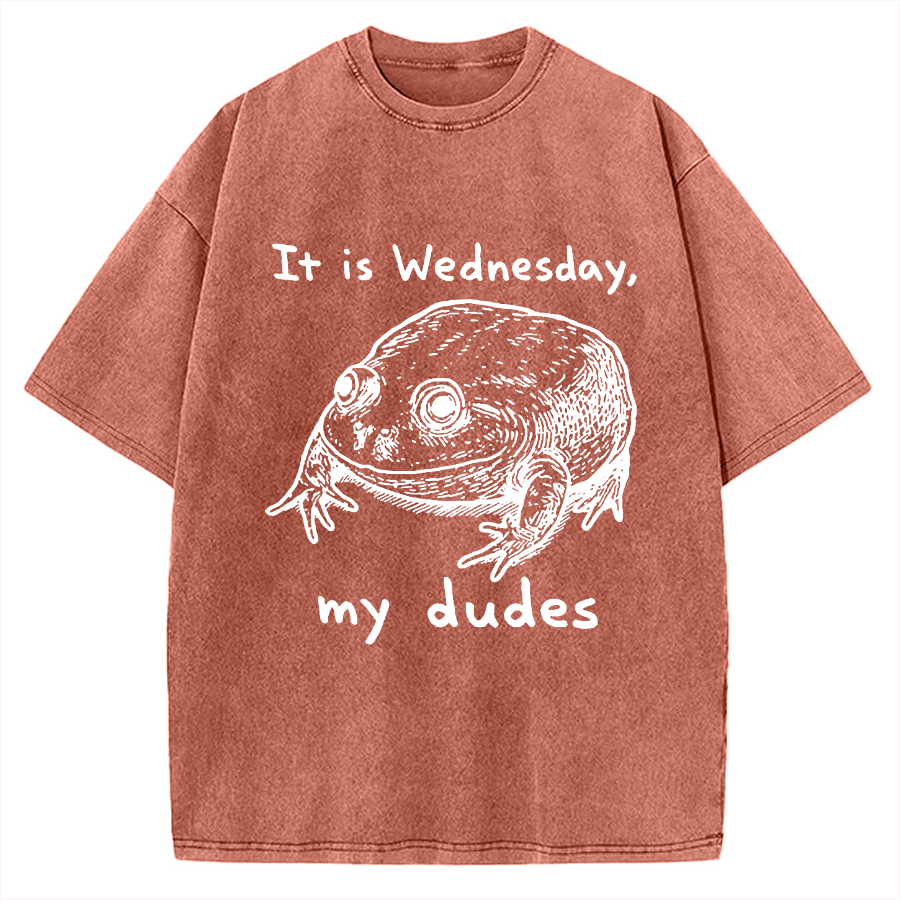 Wensday Frog Vintage Washed T-shirt