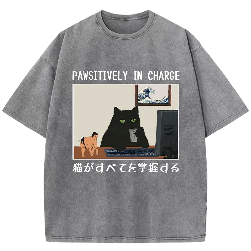 Pawsitively In Charge Washed T-Shirt