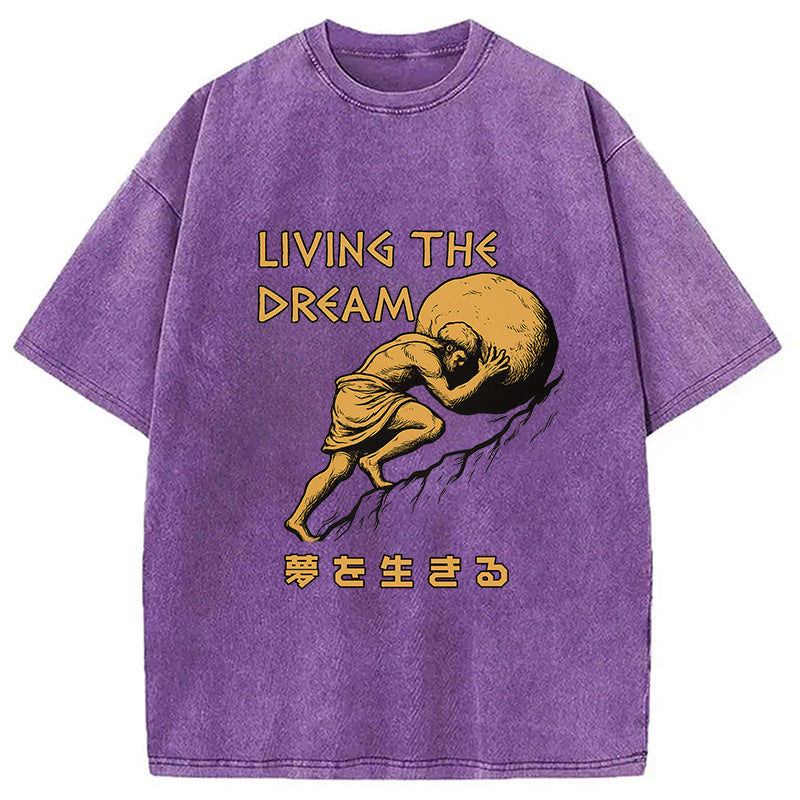 Living The Dream Meme Washed T-Shirt