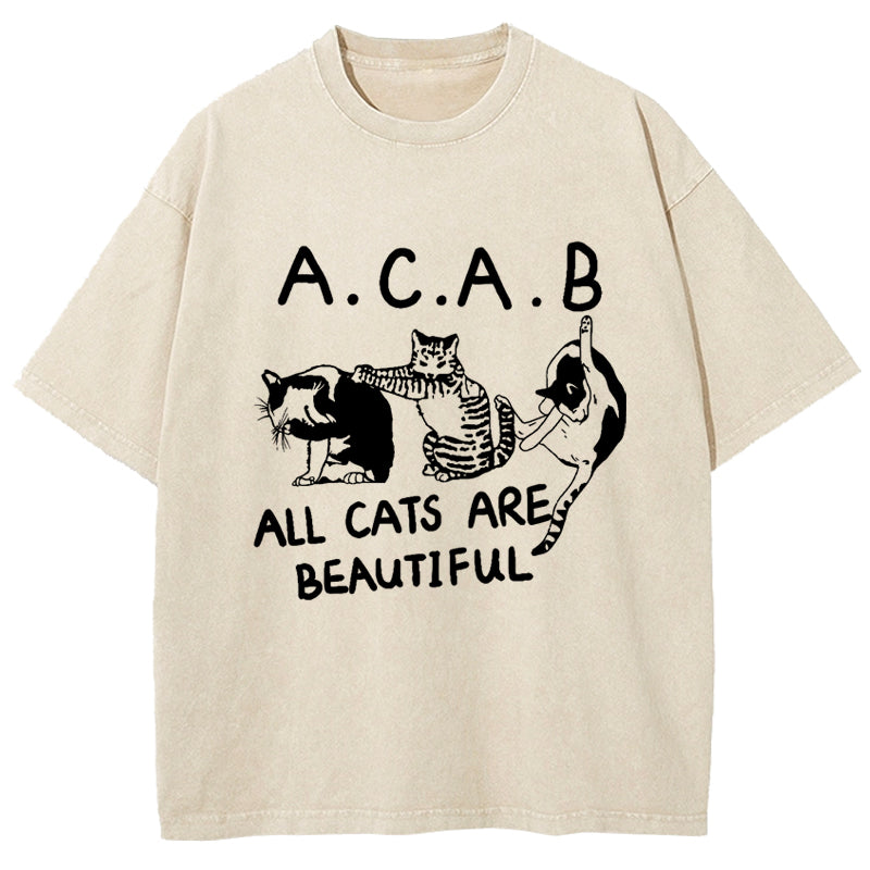 All Cats Are Beautiful Washed T-Shirt