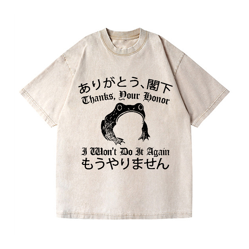 I won't do it again Frog Vintage Wash Japanese Design T-Shirt