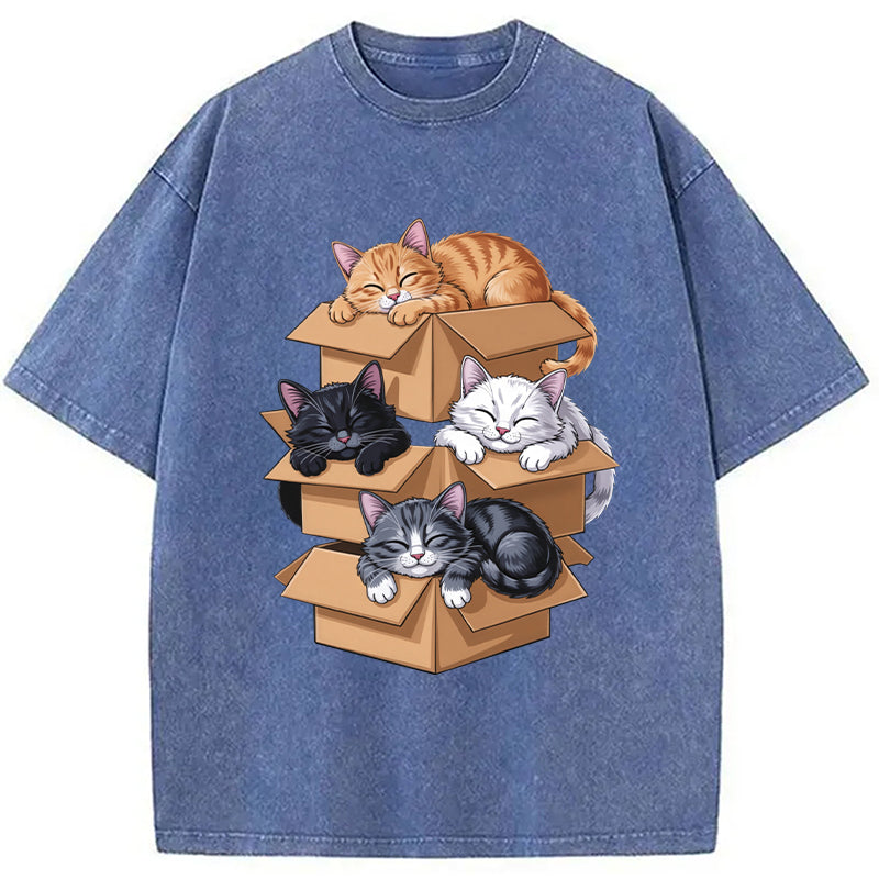 Kawaii Cardboard Cat Washed T-Shirt