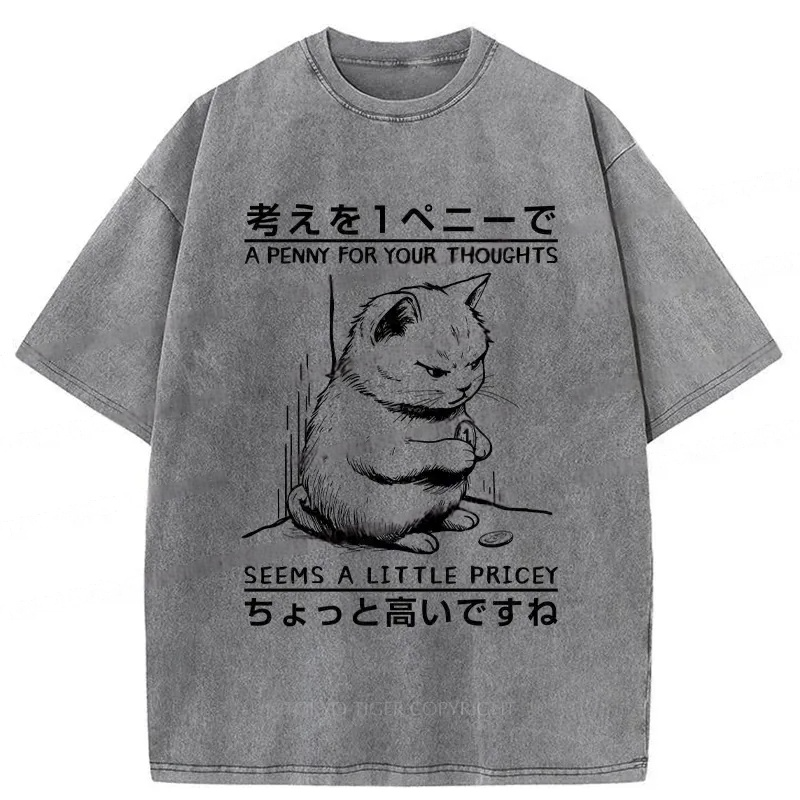 A Penny For Your Thoughts Washed T-Shirt