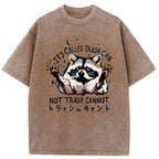 Adorable Raccoon Washed T-Shirt