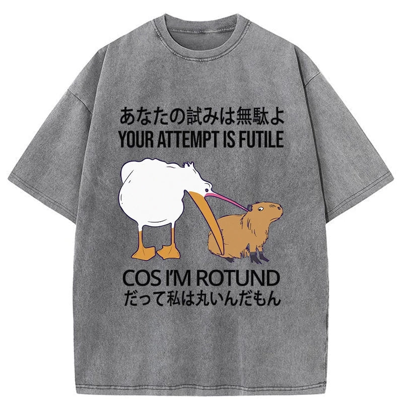 Your Attempts Are In Vain Washed T-Shirt