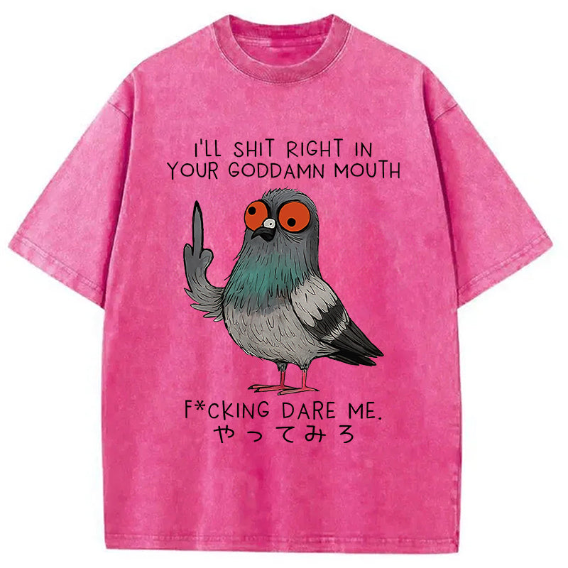 Angry Pigeon Funny Washed T-Shirt