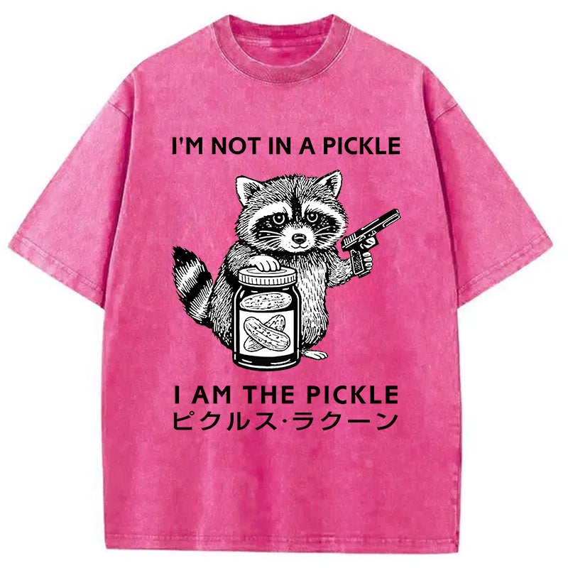 Funny Raccoon Japan Washed T-Shirt