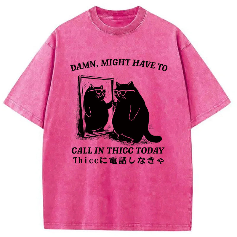 Cat Admiring Himself Washed T-Shirt