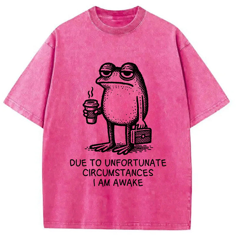 Decadent Frog Washed T-Shirt